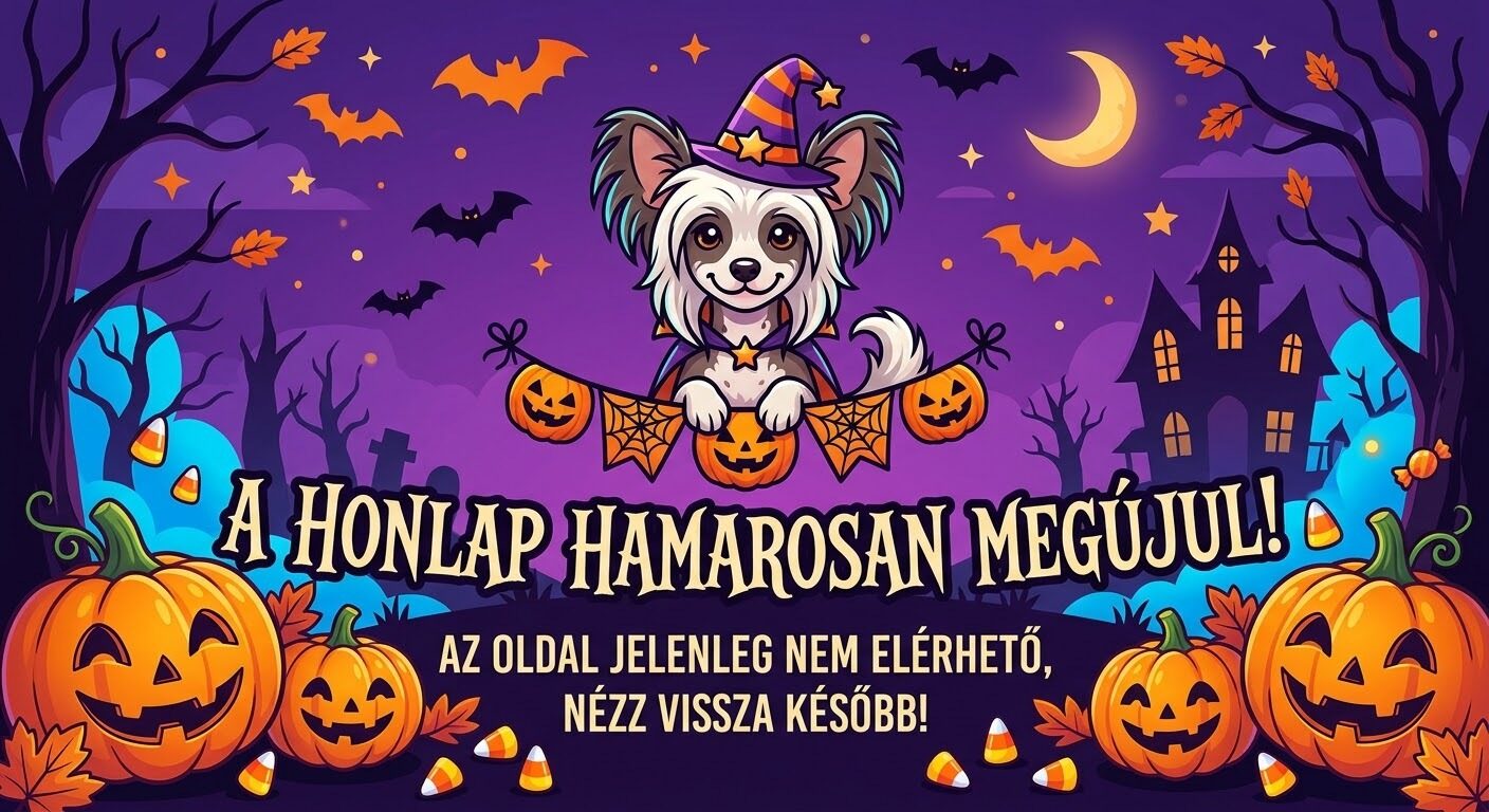 Honlapunk hamarosan megújul!🐾💜