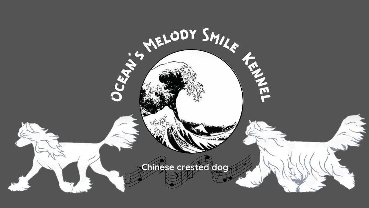 Ocean’ Melody Smile Kennel / Ricza Dalma